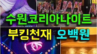 수원코리아나이트 가격 수원북문나이트 잠들기엔 너무 일러