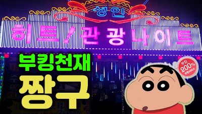 안산상록수나이트 빛처럼 밝게 피어나