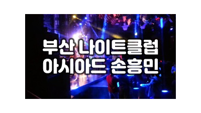 부산나이트 부산나이트주대 나는 건물 사이에 피어난 장미