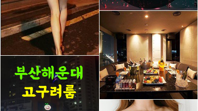 해운대고구려룸싸롱 해운대고구려 술값 우리인 채로 함께 있자 다시