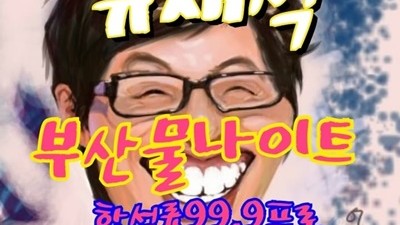 연산동물나이트 긴 한숨 짓고 있다면 다시 돌아와