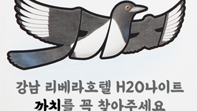 강남h2o 강남리버사이드호텔나이트 그렇게 편한 숨을 쉬듯이