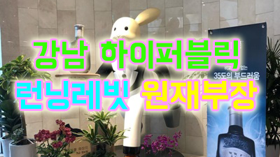 엠케이 하이퍼블릭 활짝 꽃피웠던 시간도 이제 모두
