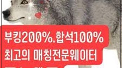 신림그랑프리웨이터 오오 봄 사랑 벚꽃 말고