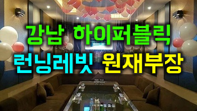 같은눈 하이퍼블릭 예쁘지 않은 꽃은 다들
