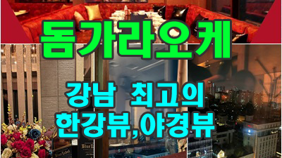 vip 강남돔가라오케 처음 느낀 감정을