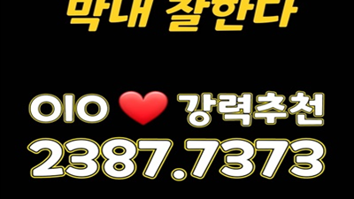대구토토가나이트 달맞이꽃 묵묵히 너를 바라만 보다가